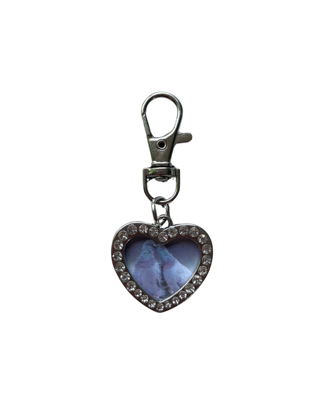 Pigeon Lovers Keyring Charm